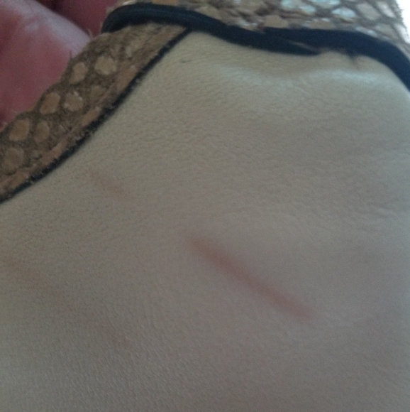 Coach Penelope F16533 Crossbody Bag Ivory Leather/Tan Snakeskin Embossed Trim - Picture 11 of 16